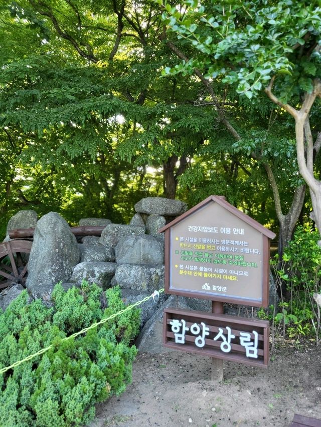 여름꽃놀이여행으로 딱인 천년숲 상림공원