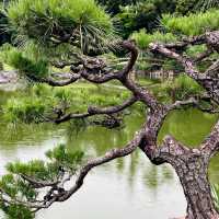 「百合之原公園」繽紛花海，心曠神怡