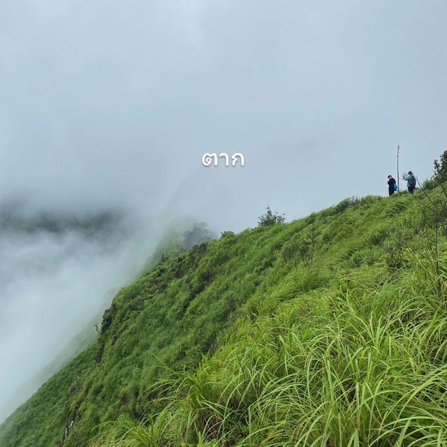 เที่ยวธรรมชาติ 15 จังหวัด | ฤดูฝน⛰️🌧️🌳🌈