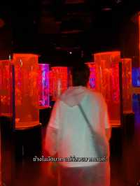 พาท่องอาณาจักรแมงกะพรุน ที่ sea jelly spectacular🪼