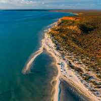 Wonders of Shark Bay World Heritage Area 🇦🇺🦈