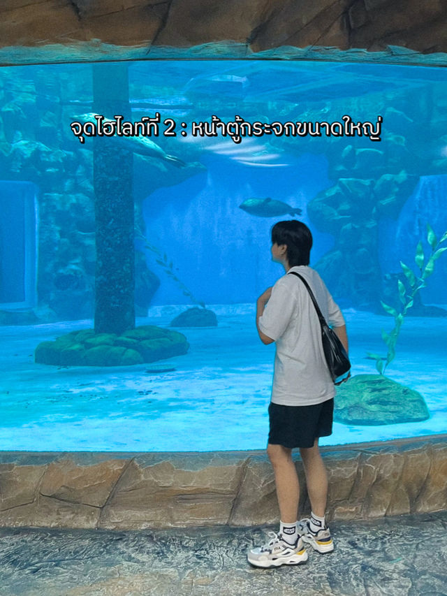 พาชมสัตว์ขั้วโลกเหนือที่ North Pole Encounter 🦭