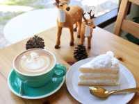 แวะทานเค้กที่ Patteera Cake