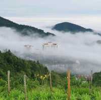 Add Cameron Highland to your holiday wishlist ! 