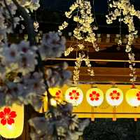 Enjoy Night Views in Kyoto City Streets 🌃✨