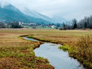 Zelenci Wetland Trekking... Slovenia...