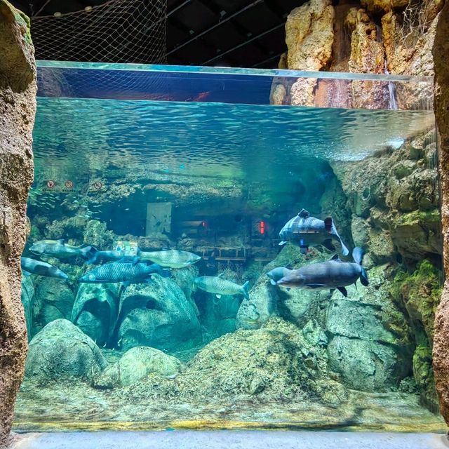 珠海室內好去處長隆飛船樂園