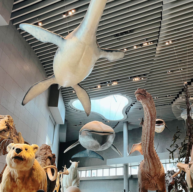 เดินเล่นกันที่ Shanghai Natural History Museum