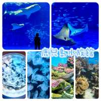 鹿兒島水族館-九州最大規模水族館，必看鯨鯊、水母與魔鬼魚