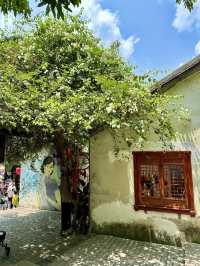 Shenzhen’s Ultimate Exploration: From Bustling Streets to Scenic Promenades