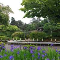 【石川県】兼六園