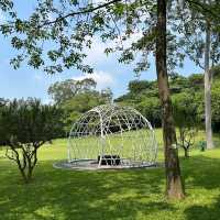 湖南省植物園：綠意盎然