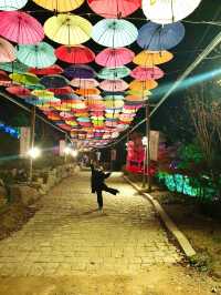 포천🤍 야경 좋은 포천 허브아일랜드🌿🌃