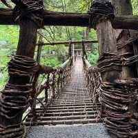 日本三大奇橋之《祖谷蔓橋》