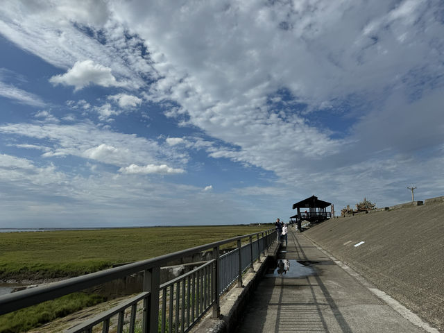 【臺中必去景點】高美濕地：大自然景色優美，木棧道必行！