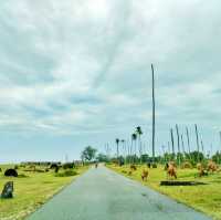 Unwind by the Sea: Kampung Mangkuk’s Peaceful Retreat