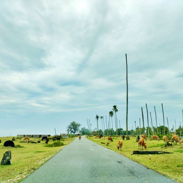 Unwind by the Sea: Kampung Mangkuk’s Peaceful Retreat