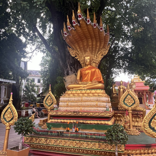 The oldest Temple in Vientiane with a sacrifice….