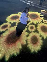 〜東京都〜ライトアップも楽しめるひまわり畑🌻