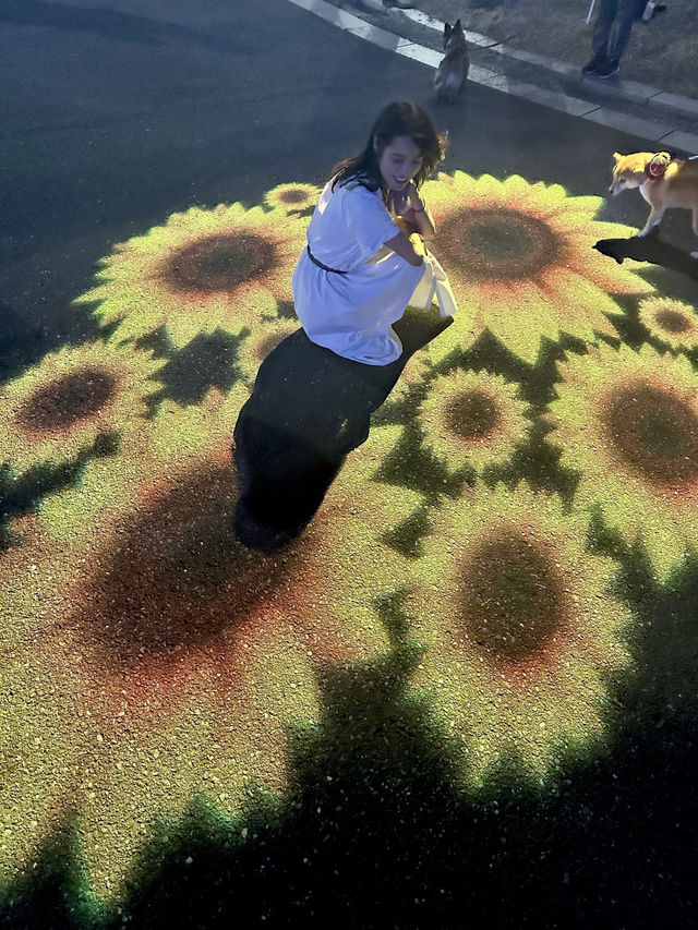 〜東京都〜ライトアップも楽しめるひまわり畑🌻