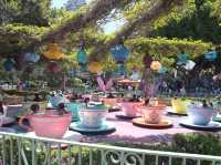 【カリフォルニア🇺🇸】ディズニーランド🏰