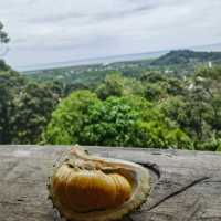 Delicious durian with nice moutain view in Balik pulau ,Penang.