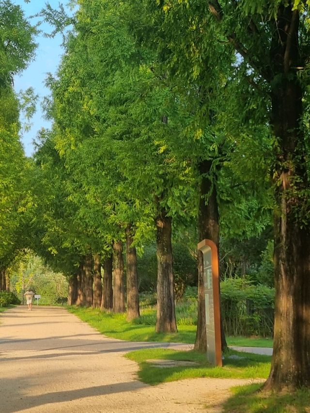 순천만 숲체험