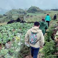 Sapa Serenity: A Journey Through Giang Cha, Ta Phin, and Phin Ho