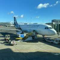 Wellington Day Out: Nature and Nightlife