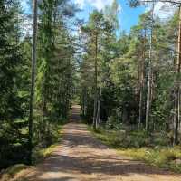 Hiking in Nuuksio National Park