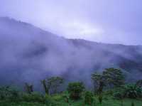 แม่จอกเดอกว่าฉ่า-De kwa cha homestay