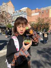 เที่ยวโตเกียวดิสนีย์ซี Tokyo DisneySea ญี่ปุ่น
