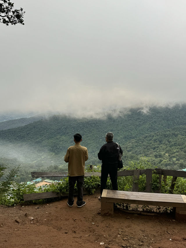 ดอยสุเทพ-ดอยปุย | ฤดูฝน ⛰️🌧️🌿🌳