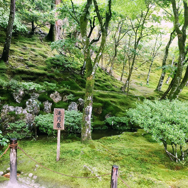我的京都之旅 銀閣寺的靜謐之美