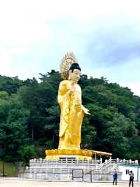 늦여름 시원한 속리산 법주사로 떠나요!