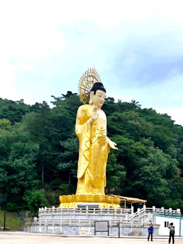 늦여름 시원한 속리산 법주사로 떠나요!