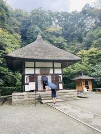 【神奈川県/北鎌倉　秋の明月院も趣がある庭園や風景を堪能できてオススメ！】