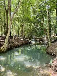 น้ำพุธรรมชาติบ้านท่าช้าง เขาใหญ่🌳