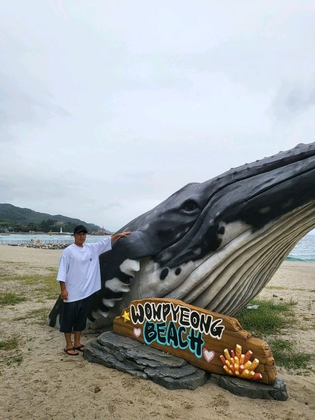 손하트 포토존과 대형고래가 있는 삼척해변