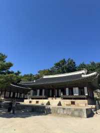 World Heritage Site Changdeokgung Palace and Secret garden (shhhh!)