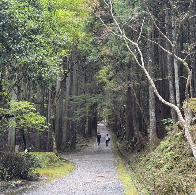 滋賀県にある世界遺産「比叡山延暦寺」を巡ってみた！