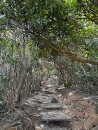 【福岡/糸島】トトロの森🌳