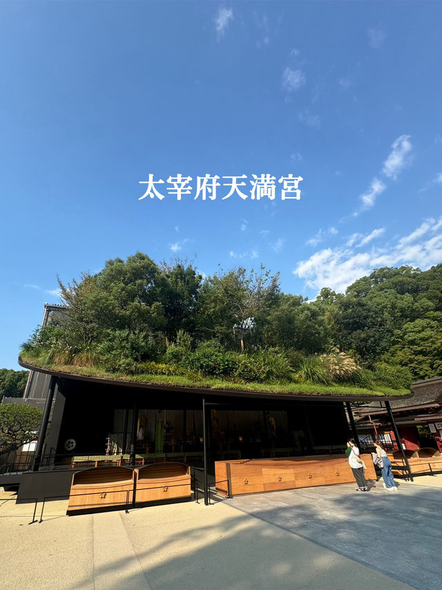 【福岡/太宰府】期間限定！今しか見れない太宰府天満宮⛩️