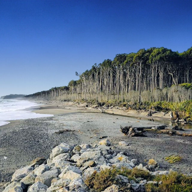 Fantastic Bruce Bay with historical significance