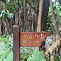 香港🇭🇰龍脊徒步·老少咸宜