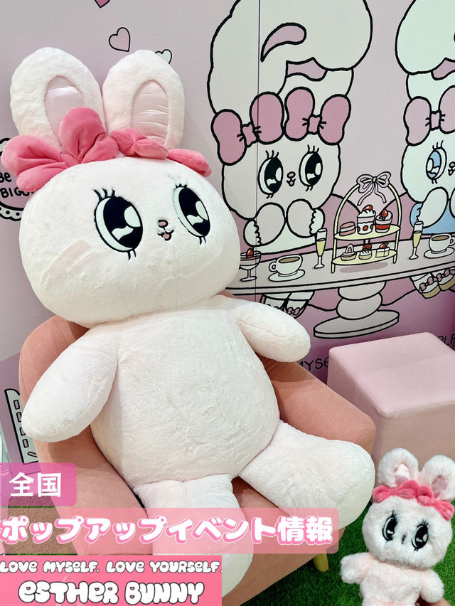 エスターバニー好きさん必見