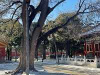 Winter Wander Through Tiananmen and the Forbidden City: A Journey Back in Time