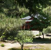 【京都/嵯峨野】写経で癒される、大覚寺