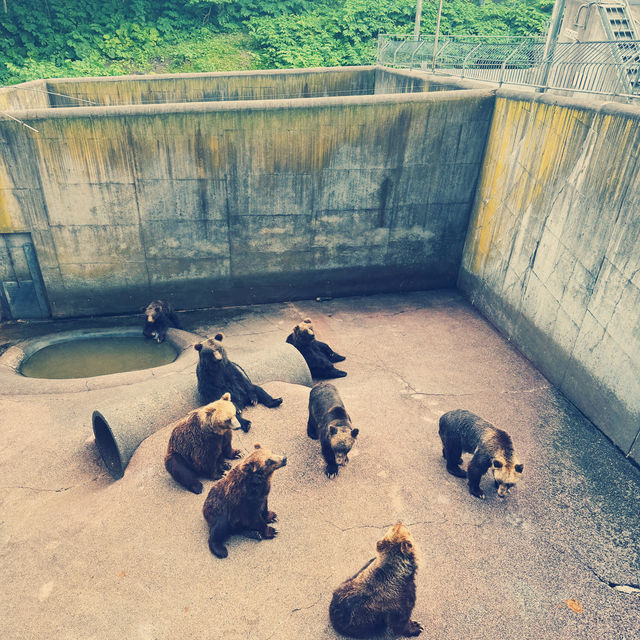 Lake Hill Farm, Hokkaido