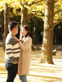 Picturesque Nami island in Fall 🍂🍁